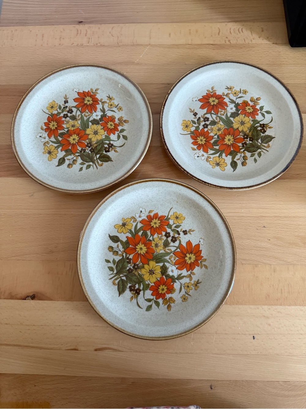 VTG Alpine mountain ceramic plates set of 3
